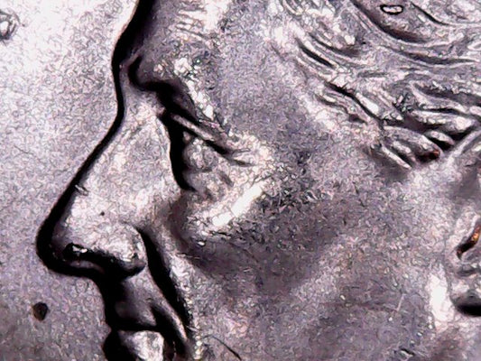 2023-P Roosevelt Dime Boogie Oogie Die Chip Nose.  Error
