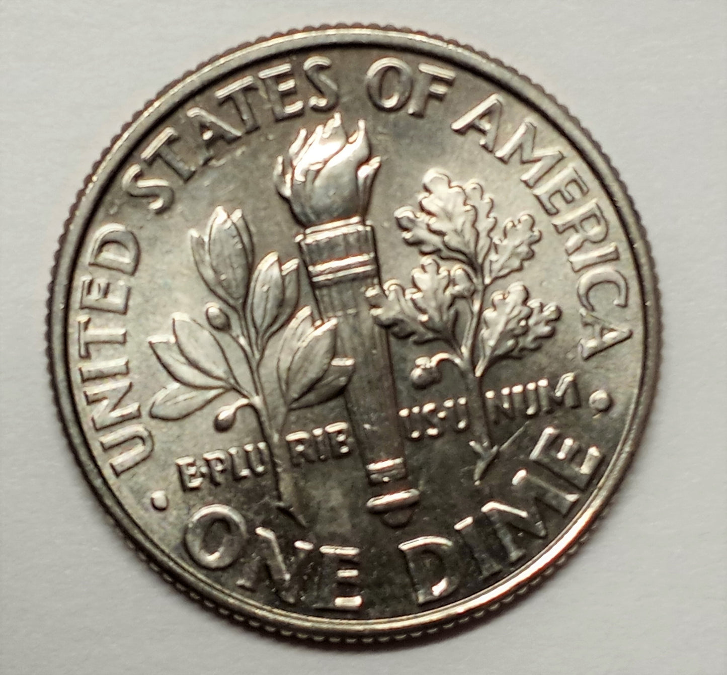 2023-P Roosevelt Dime Boogie Oogie Die Chip Nose.  Error